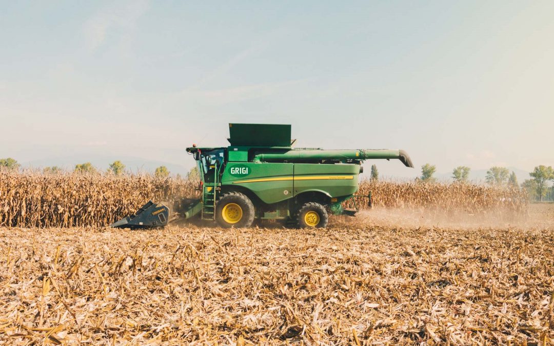 What Life On The Farm Looks Like