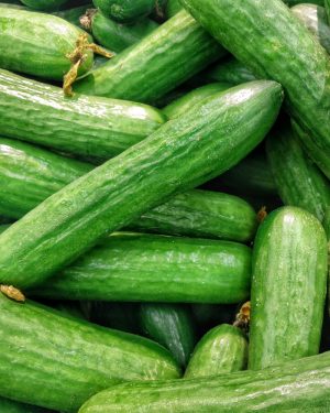 Cucumber
